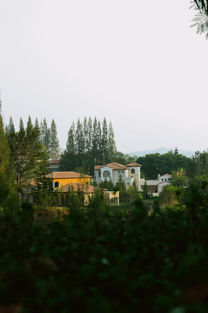 Scenic view of luxurious villas amidst greenery, depicting a serene summer residential district.